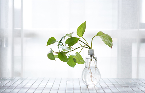 伦理片
专家教你如何做情绪的主人