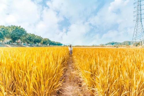 树立正确教育观念，守护孩子的心理健康