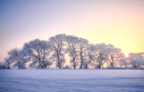 冬季情绪为何总是低落？当心TA找上门
