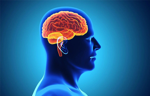 血清泌乳素在精神科临床中的重要应用有哪些？