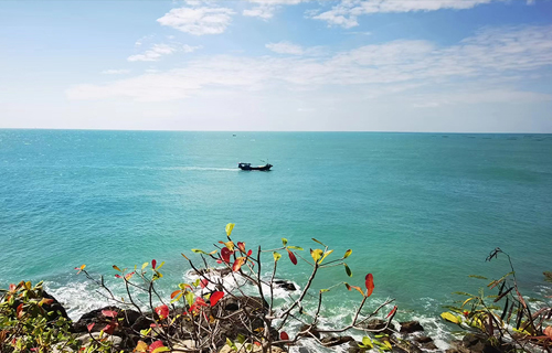 阳光李玟为何抑郁？专业医生揭秘隐匿“表达抑制”下的抑郁症