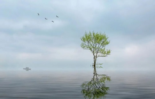 身上有“仙”？生气后的她为何性情大变