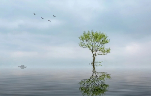 叮咚！一份关于分离转换性障碍患者的护理指南请查收