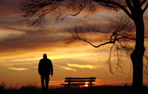 全国老年健康宣传周 | 守护银发心灵：关注老年人心理健康，开启乐龄“心”生活